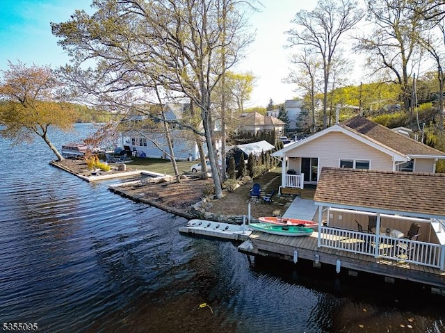 dock area with a water view