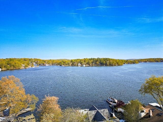 property view of water