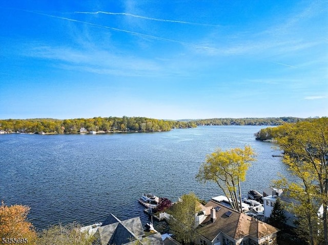 property view of water