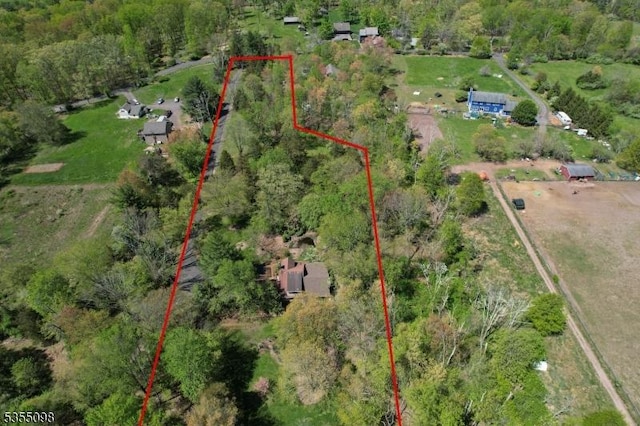 22 Pine Hill Rd, Delaware Twp, NJ 08559 - birds eye view of property