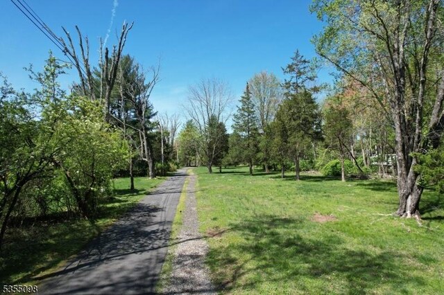 22 Pine Hill Rd, Delaware Twp, NJ 08559 - view of road