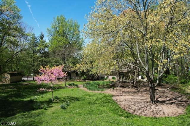 22 Pine Hill Rd, Delaware Twp, NJ 08559 - view of yard with an outdoor structure and a storage unit