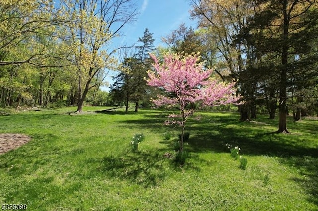 22 Pine Hill Rd, Delaware Twp, NJ 08559 - view of grassy yard