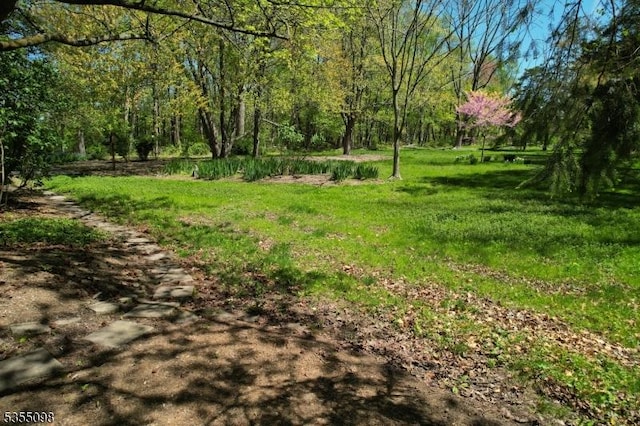 22 Pine Hill Rd, Delaware Twp, NJ 08559 - view of yard with a forest view