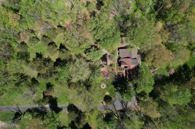 22 Pine Hill Rd, Delaware Twp, NJ 08559 - drone / aerial view
