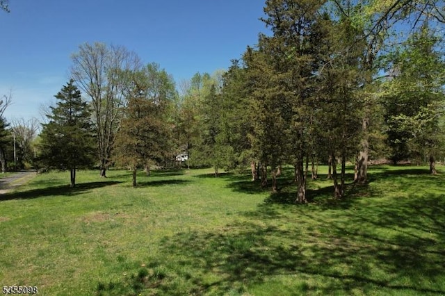 22 Pine Hill Rd, Delaware Twp, NJ 08559 - view of grassy yard