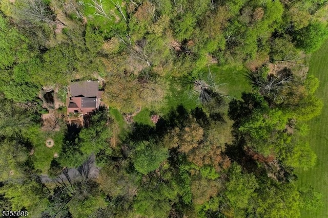 22 Pine Hill Rd, Delaware Twp, NJ 08559 - drone / aerial view