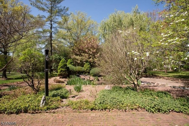 22 Pine Hill Rd, Delaware Twp, NJ 08559 - view of local wilderness