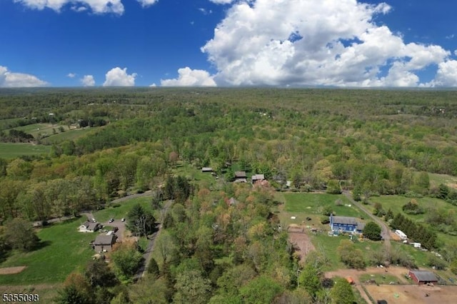 22 Pine Hill Rd, Delaware Twp, NJ 08559 - drone / aerial view with a view of trees