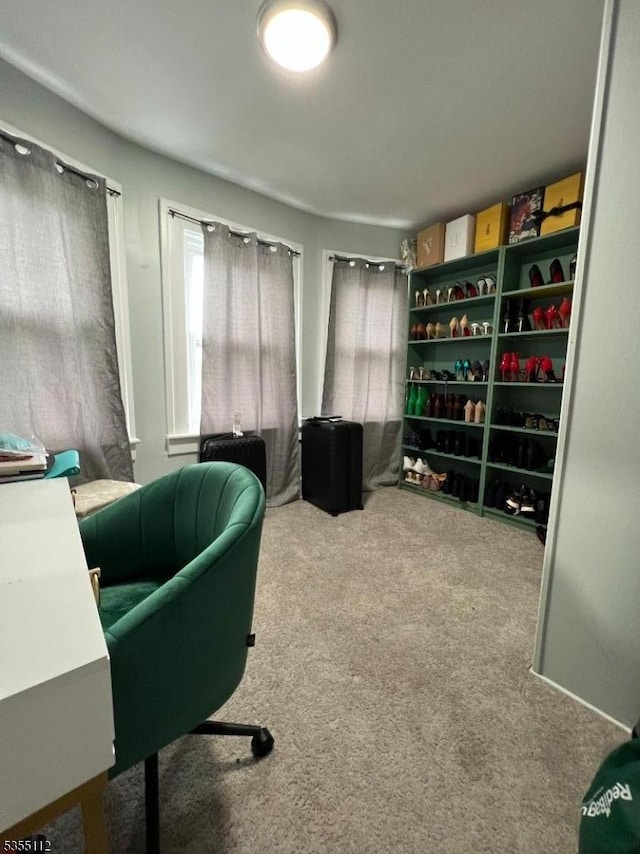 116 Sumner Ave, Plainfield City, NJ 07062 - office area with carpet floors