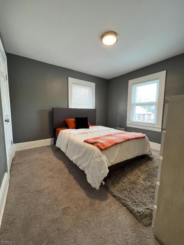116 Sumner Ave, Plainfield City, NJ 07062 - carpeted bedroom with baseboards