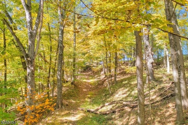 369 Stamets Rd, Holland Twp, NJ 08848 - view of nature featuring a forest view