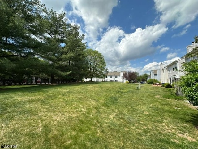 view of yard featuring a residential view