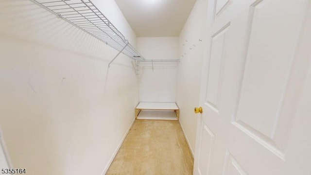 103 Race Track Cir, Montague Twp, NJ 07827 - view of spacious closet
