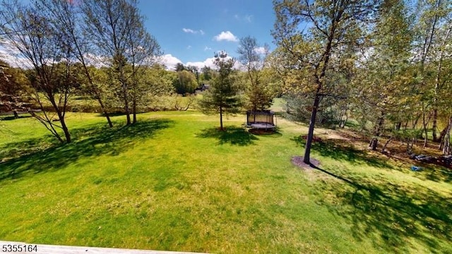 103 Race Track Cir, Montague Twp, NJ 07827 - view of grassy yard