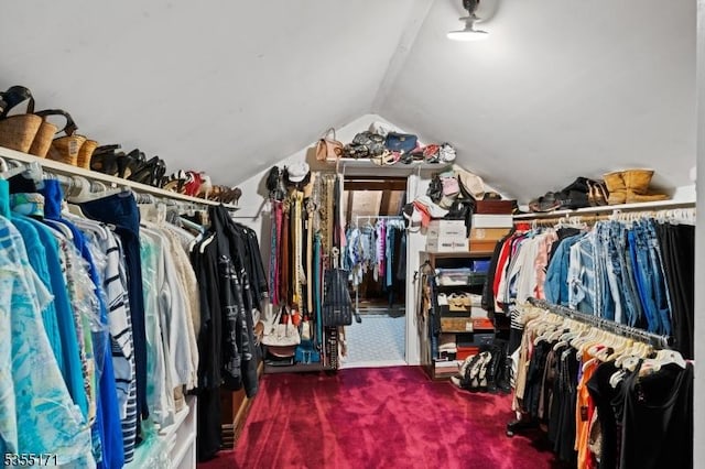 581 Montgomery Rd, Hillsborough Twp, NJ 08844 - walk in closet featuring carpet flooring and lofted ceiling