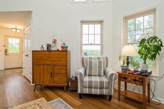 living area featuring wood finished floors