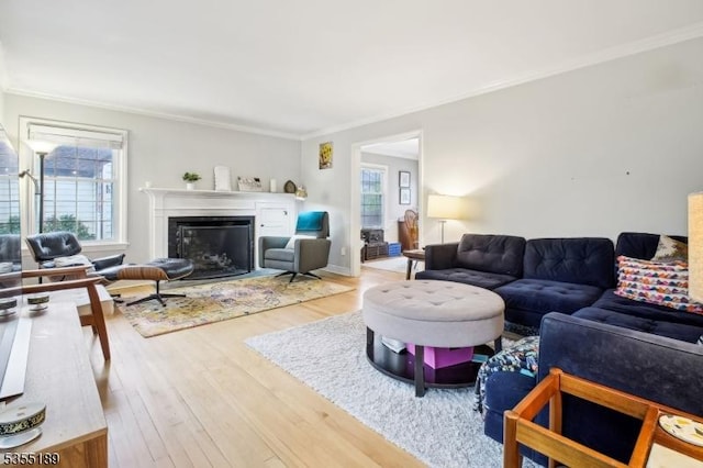 living area featuring ornamental molding, wood finished floors, and a fireplace with flush hearth
