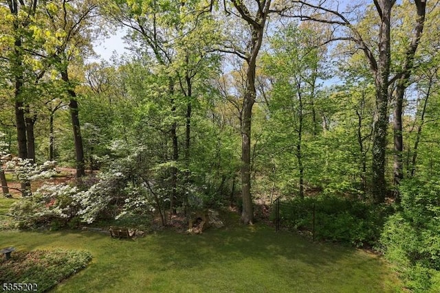 view of landscape featuring a view of trees