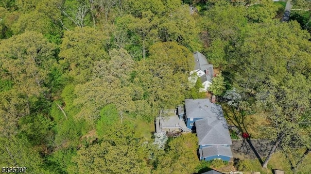 aerial view with a view of trees
