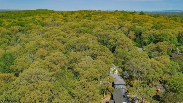aerial view with a wooded view