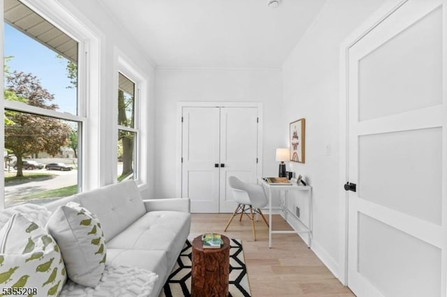 office space with light wood-type flooring