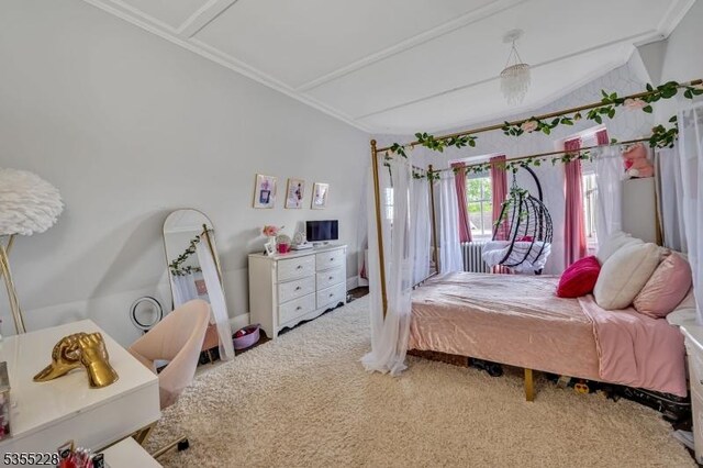152 Main St, Flemington Boro, NJ 08822 - bedroom featuring carpet floors