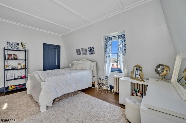 152 Main St, Flemington Boro, NJ 08822 - bedroom with wood finished floors, radiator heating unit, and crown molding