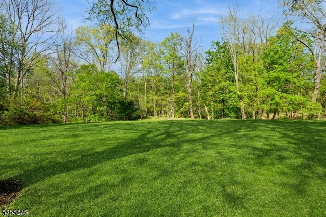 view of yard with a forest view
