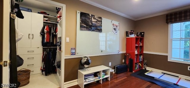 interior space with crown molding, plenty of natural light, and wood finished floors