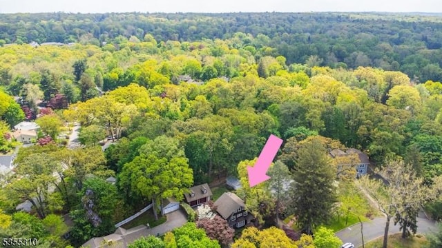 drone / aerial view of a forest