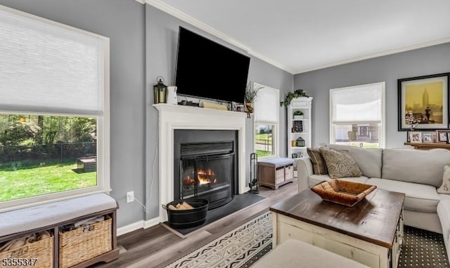 living room featuring a wealth of natural light, ornamental molding, a warm lit fireplace, and wood finished floors
