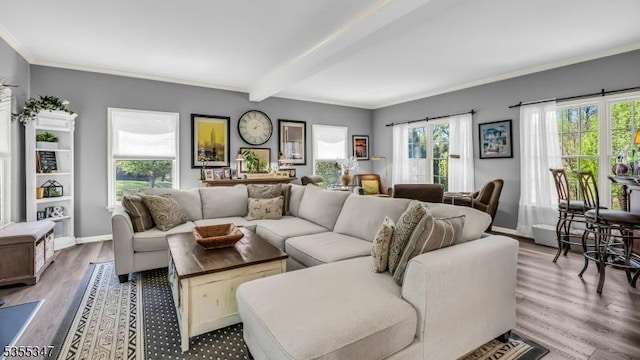 living room with ornamental molding, beamed ceiling, baseboards, and wood finished floors