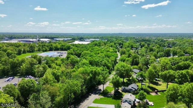 aerial view of a forest
