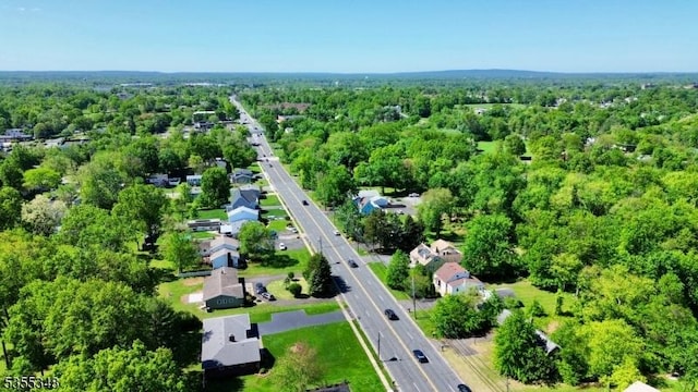 aerial view of a forest