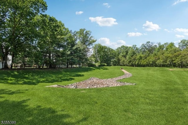 4703 Patterson St, Bridgewater Twp, NJ 08807 - view of grassy yard