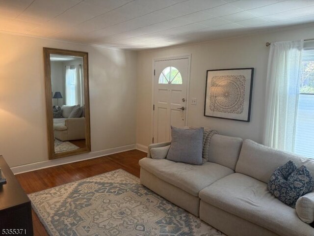11 Union St, Franklin Twp, NJ 08528 - living room with healthy amount of natural light, wood finished floors, baseboards, and ornamental molding