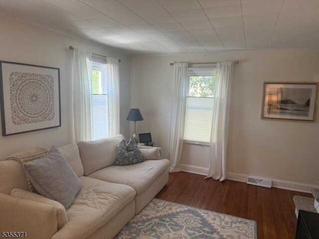 11 Union St, Franklin Twp, NJ 08528 - living room featuring healthy amount of natural light, wood finished floors, baseboards, and ornamental molding