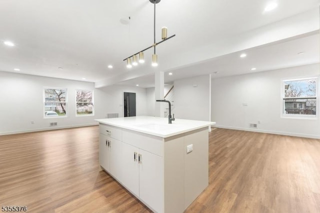 kitchen featuring light wood-style floors, open floor plan, a sink, and a wealth of natural light