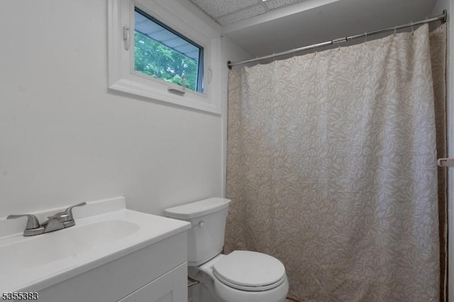 31 Charlotte Dr, Clinton Twp, NJ 08833 - full bathroom featuring toilet, vanity, and a shower with curtain