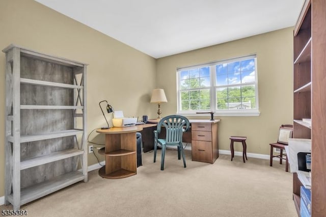 95 School House Rd, Jefferson Twp, NJ 07438 - home office with light carpet and baseboards