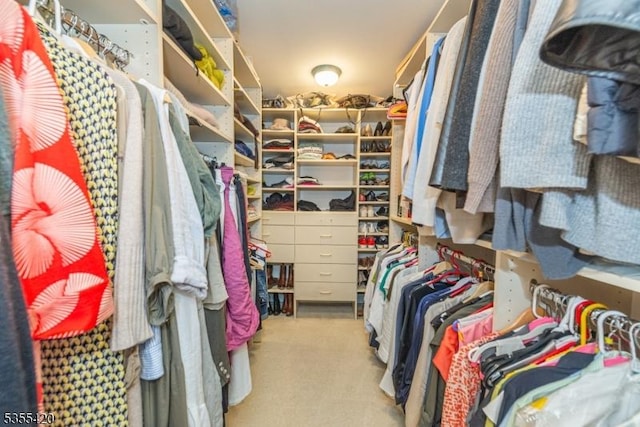 59 Green Hill Rd, Kinnelon Boro, NJ 07405 - walk in closet featuring carpet