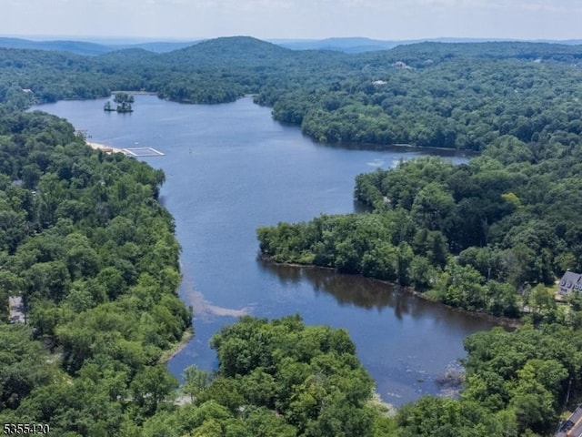 59 Green Hill Rd, Kinnelon Boro, NJ 07405 - drone / aerial view of a forest and a nearby body of water