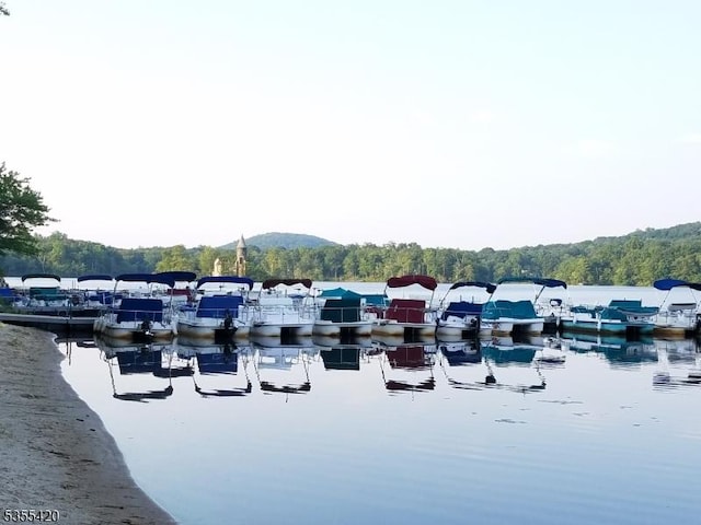 59 Green Hill Rd, Kinnelon Boro, NJ 07405 - water view featuring a heavily wooded area and a mountainous background