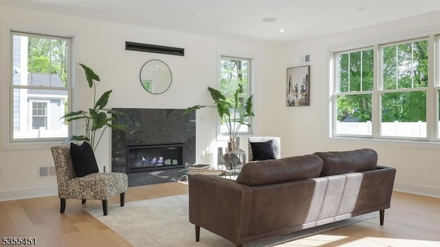 living area featuring plenty of natural light, light wood-style flooring, a fireplace, and baseboards