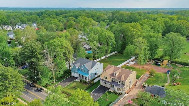 bird's eye view of a forest