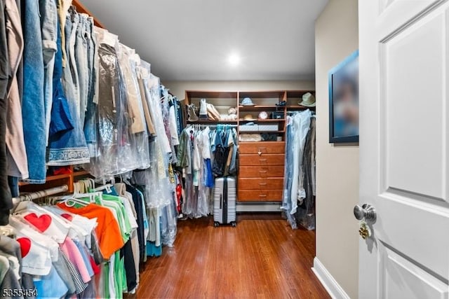walk in closet with wood finished floors