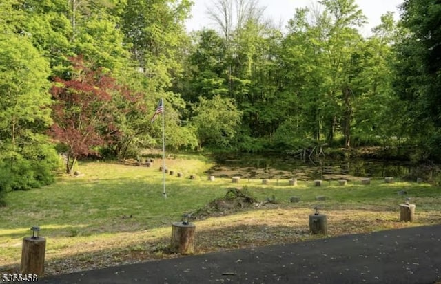 14 Luchetti Way, Andover Twp, NJ 07860 - view of yard