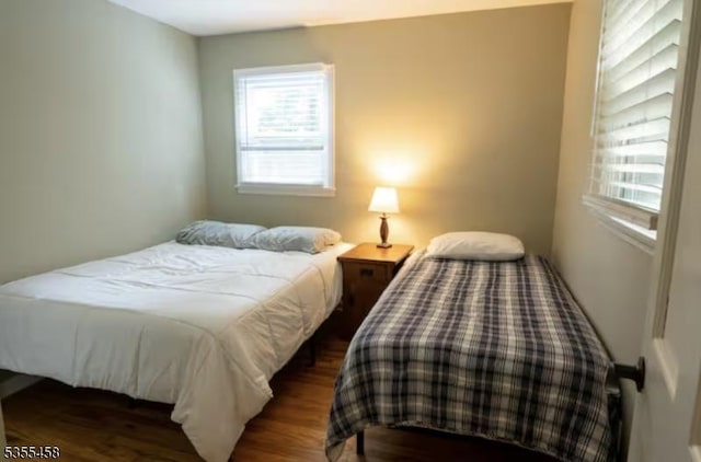 14 Luchetti Way, Andover Twp, NJ 07860 - bedroom featuring multiple windows and dark wood-type flooring