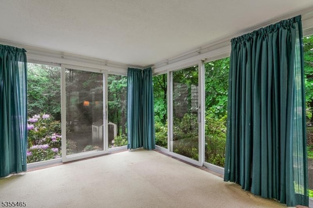 1178 Delaware Dr, Bridgewater Twp, NJ 08807 - unfurnished sunroom featuring carpet and plenty of natural light